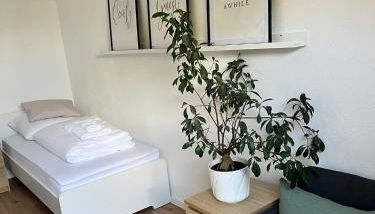 Q Apartment No 3 in BS - stadtnah im Grünen wohnen - Foto 1