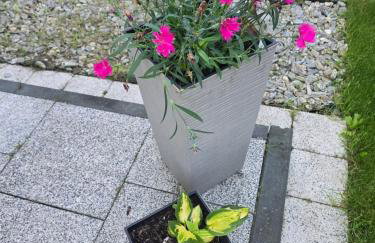 Apartament Nad Nielbą 6Bm2 z ogrodem - Foto 29