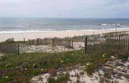 Villa do Lago - Foto 69