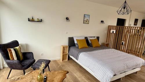 Le Calais Wilson 7 - Studio Balneo 2p - Foto 2