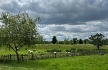 Liabaquet Gîtes - Foto 34