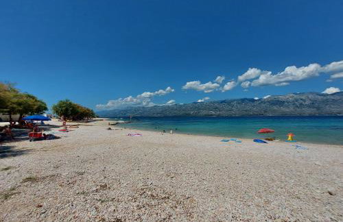 Apartmani Ciprijan - Foto 23