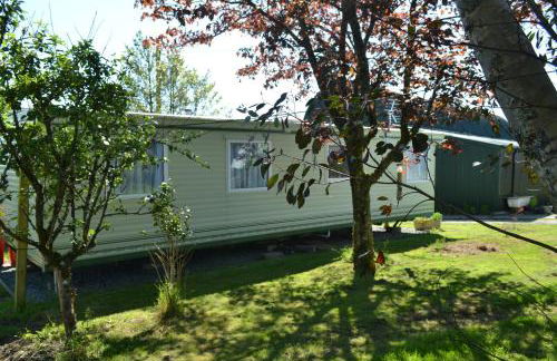 Swallows Return - Foto 19