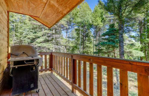 Stylish Angel Fire Cabin with Deck - 2 Mi to Ski Mtn - Foto 28