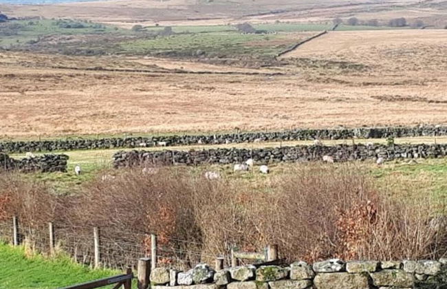 Dartmoor Barn on North Hessary Tor - Foto 22