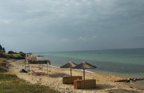 Ananias House - Foto 62