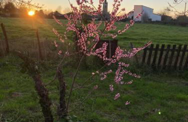 Marais Inn, maison typique avec piscine et jardin arboré, 10 kms Niort - Foto 28