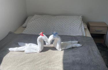 Agroturystyka nad stawami - Foto 62