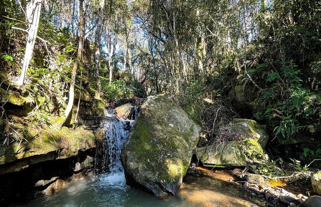 Morada do Guardião - Foto 47