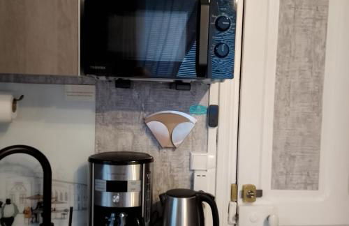 Studio Malou, cuisine, salle d'eau, terrasse amenagée - Foto 9