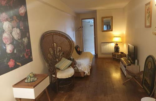 Jolie petite maison sérénité centre historique - Foto 2