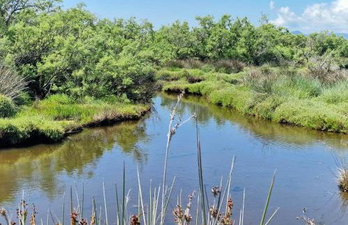 Le jardin de Domi - Foto 31