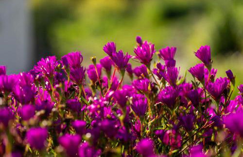 Apartamento para pareja, Finca Contrabando. Sanlucar del Guadiana - Foto 75