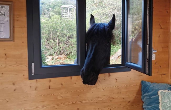 Tiny House Loulé Algarve no1 - Foto 12