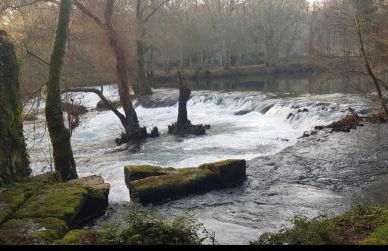 Casita Sarabia - Foto 27