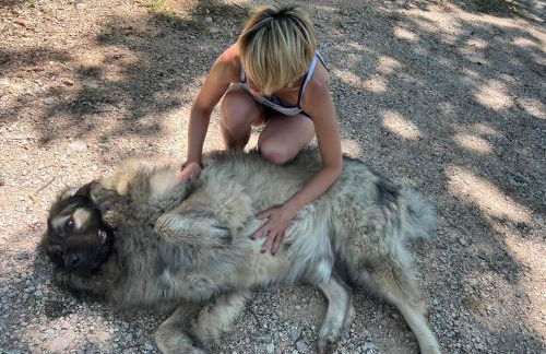 SetterHouseAgriHotel - Photo 43