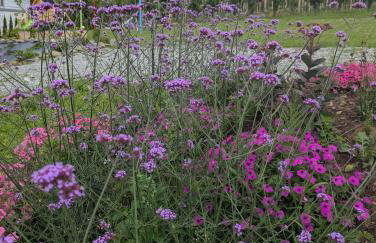 Domek Gruszkowy Wzorek - Foto 24