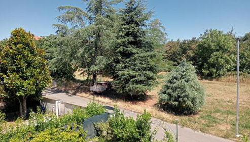 Spot on Civita - Foto 5, Garden view