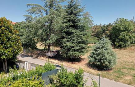 Spot on Civita - Foto 5