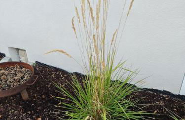 Chalet Bauer - 5 Sterne Ferienhaus im Altmühltal - Foto 22