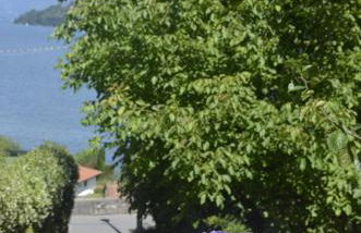 AnMa Cottages The Secret Garden - Foto 65