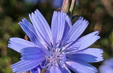 Ferienwohnung Luna mit Pool - Foto 53
