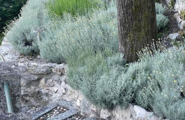 Villa Pia Lena - Foto 64