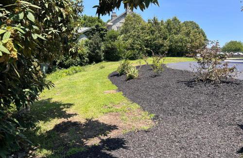 The Highland Oasis - Foto 48