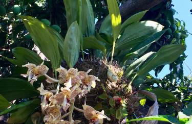 Casa Mamita - Foto 27