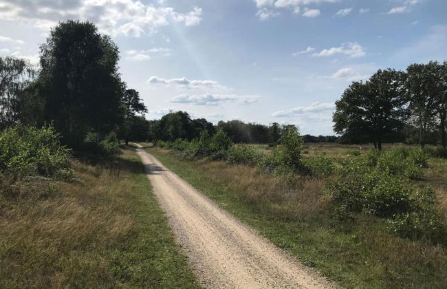 Markelo Lodge Near Trails - Photo 7