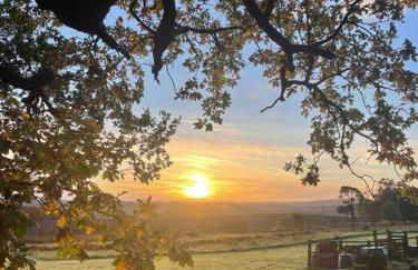 Borthwick Farm Cottage Pottery - Foto 23