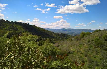 Residence Casa Lama - Foto 78