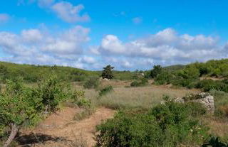 Fterini Apartments Sterna & Alletri - Foto 77