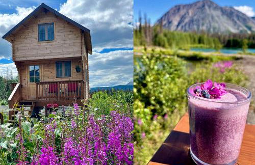 Eco-Friendly Lakefront Tiny House with Views of Panorama Mountain near Denali National Park - Foto 1