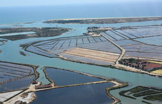 Paseo en barco por las islas de la Ría Formosa - Foto 2