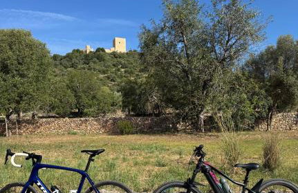 Casita del Toro - Foto 37