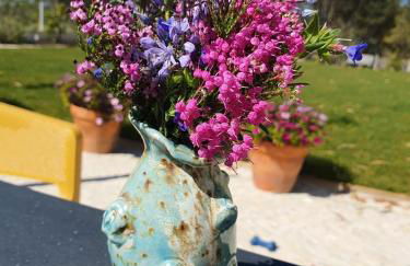 Quinta da Familia - Foto 12