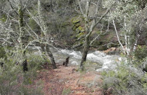 Casa de la Panadería - Foto 21