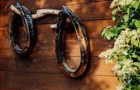 KASTANIENHOF - Foto 17