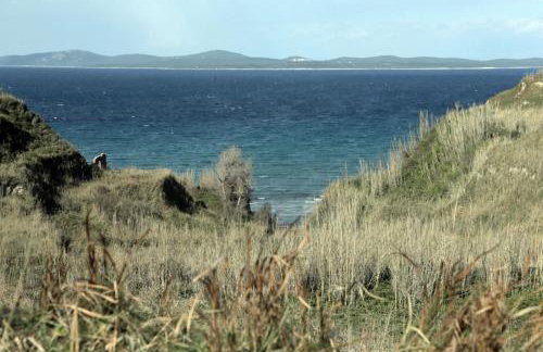 Apartment in Susak with air conditioning, W-LAN (3865-6) - Foto 31