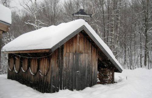 Charming Cabin Rental Located Upon 180 Sprawling Acres in Underhill, Vermont - Foto 10