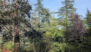 Le Stagioni del Parco - Foto 3