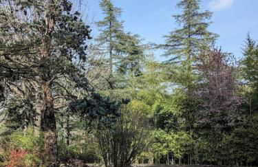 Le Stagioni del Parco - Foto 3