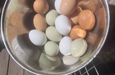 Cozy Cabin Escape - Foto 37