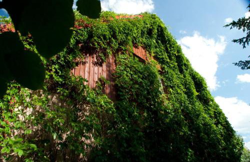 Dom z basenem nad Narwią - Foto 24