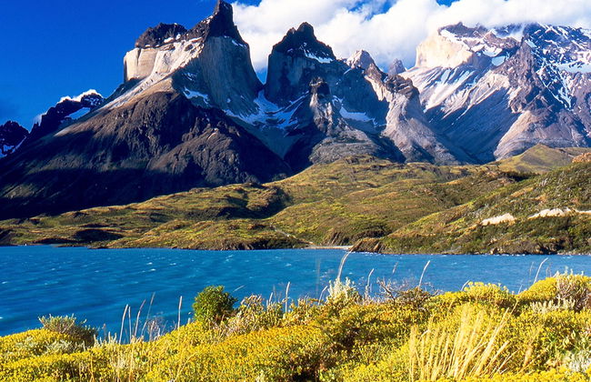 Parco Nazionale Torres del Paine - Escursione di un'intera giornata - Foto 5