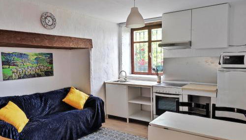 Apartamento Gariko , ARRIETA entrada independiente - Foto 5, stove