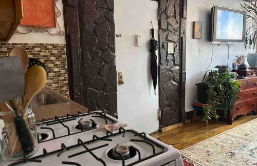 Unique Brooklyn Brownstone Studio Bedstuy - Foto 4