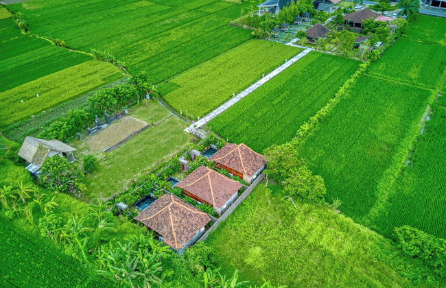 Pondok Padiku Villa by Nusantara - Foto 19