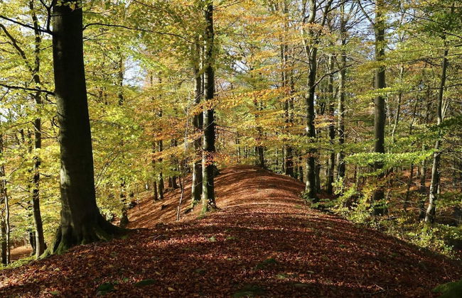 Holiday Home With Swimming Pool - Foto 7